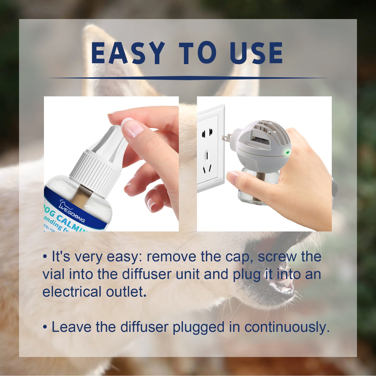 Relieve The Restlessness And Comfortable Calmness Of Cats and dogs With Care Solution