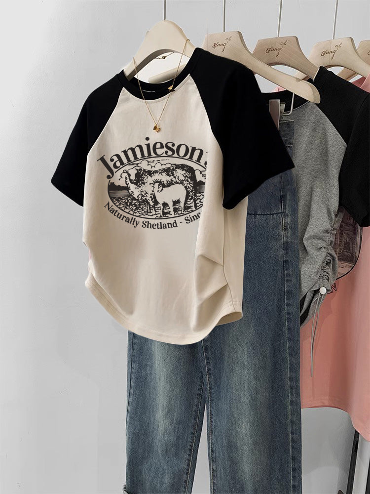Sweet & Spicy Women's Cropped T-Shirt – Soft Cotton Tee for Casual Style