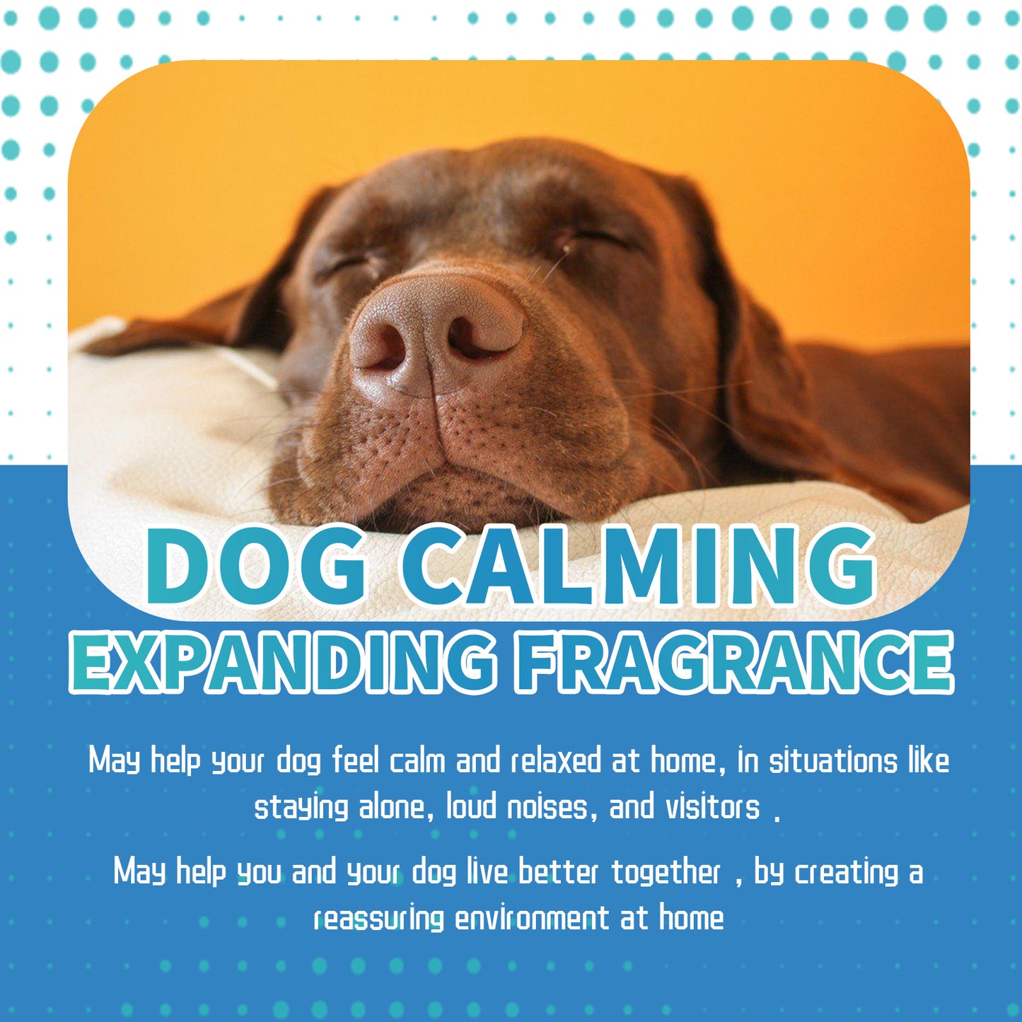 Relieve The Restlessness And Comfortable Calmness Of Cats and dogs With Care Solution